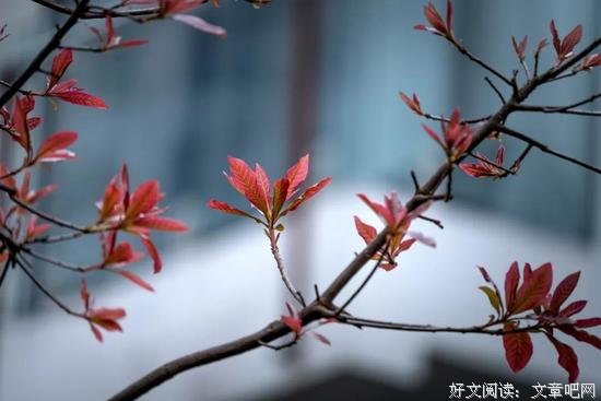 生活没有桃花源，自在便是水云间 