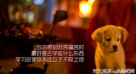 关于扬长而去的名句摘抄