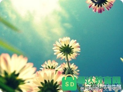 描写振聋发聩的语句摘抄