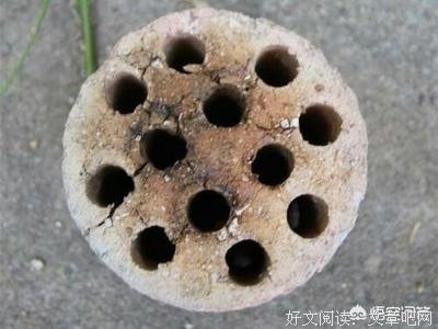 是眼种有人经典名句