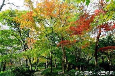 如此安好。的优美句子