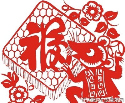 总能跨越日子的辛苦