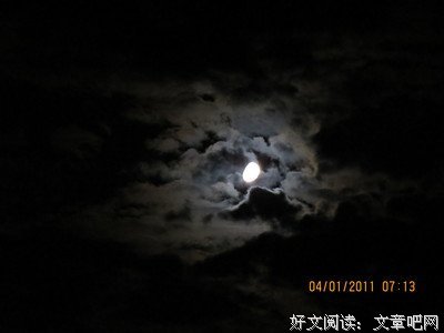 深夜泳池边的抓拍肌肉男游泳，这样休息我想去撩他了
