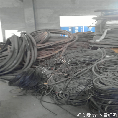 你是可回收垃圾吗？