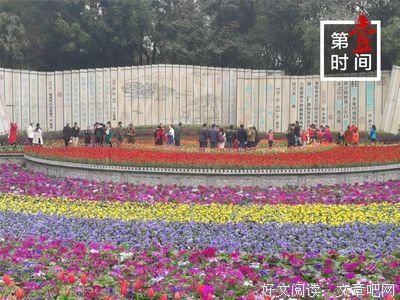 每个人都是生活的主角