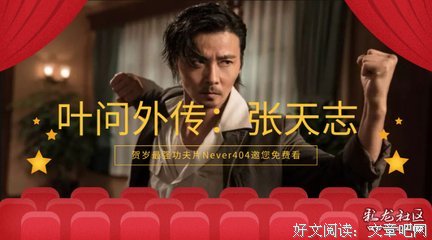 《叶问外传：张天志》经典观后感1000字