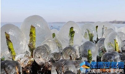 《真相漩涡》观后感100字