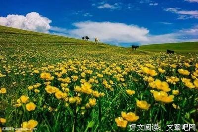 《地理俱乐部》影评精选