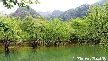 《上岸的魚》经典影评1000字