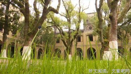 文生年沉淀好词好句