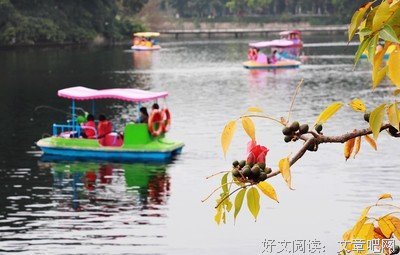 叶落花开句子大全