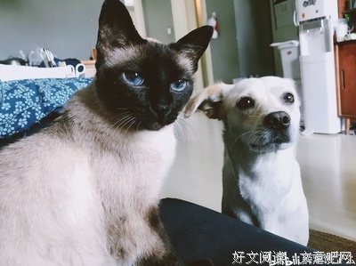 讲个笑话给你听