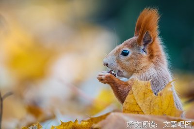 为什么真正厉害的人，都很「自律」