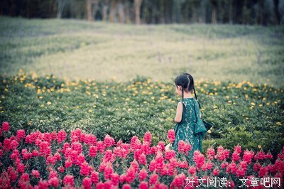 宛如花间读后感摘抄