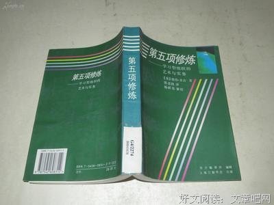 《第五项修炼·心灵篇》读后感100字