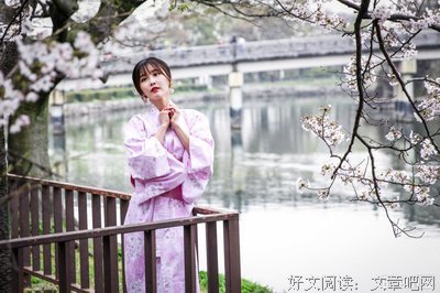 《盛夏的樱花树》的读后感大全