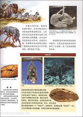 女孩的进化史读后感锦集