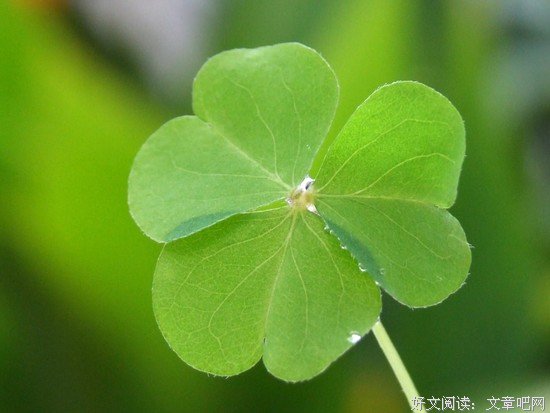 辛弃疾和霍去病