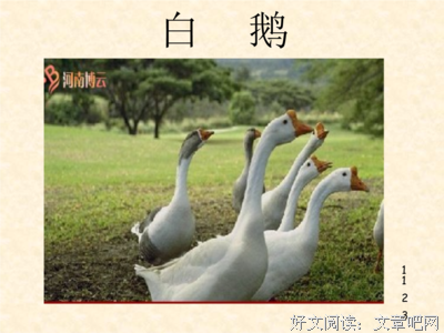 左顾右盼的语句摘抄_关于左顾右盼的语句