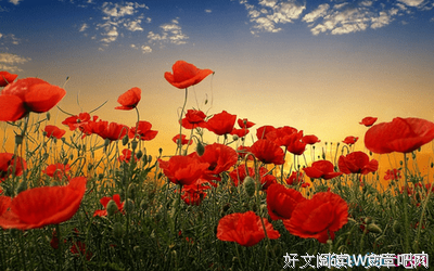 关于与日俱增的语句