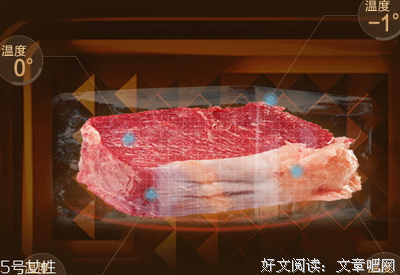 冰冻就那尺，非微波炉不能解冻。的优美句子