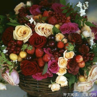 关于再是见吧，喵小姐的优美句子