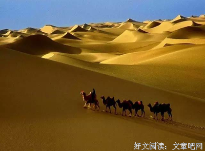 《乡关何处》影评摘抄