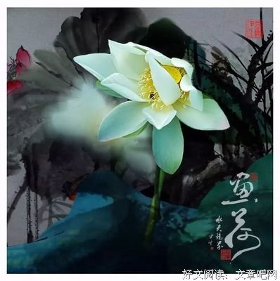 朗诵 ：岁月很美，一路芬芳（原创）
