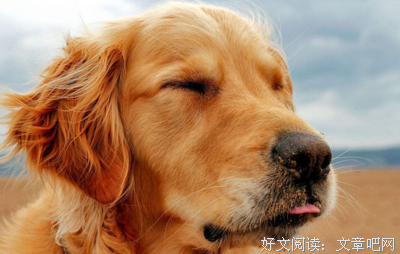 《内心引力》的观后感大全