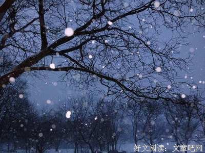 《暴雪将至》经典观后感有感
