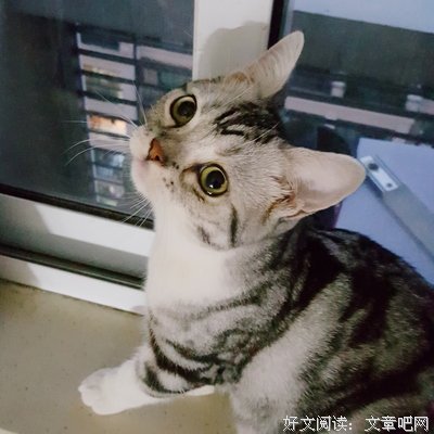 人生海海经典的句子