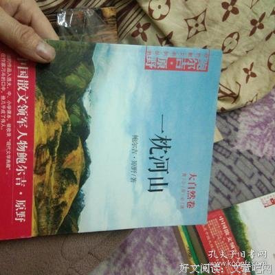 一枕山河经典读后感有感