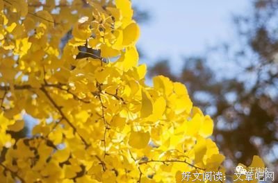 苦恼自寻 太过分心