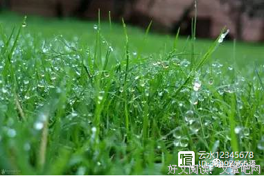 关于进退两难的名言