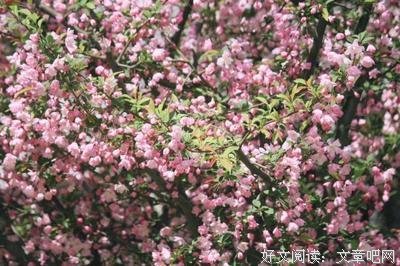 危机四伏的名人名言