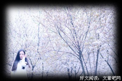 有关我用落花的心情去品味开花的人生的句子