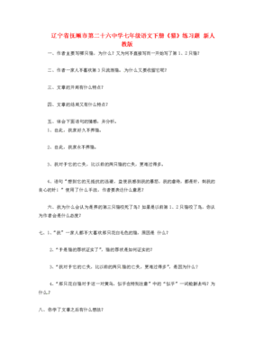 流浪猫的优美句子