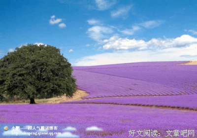 梦当而着把经典的句子