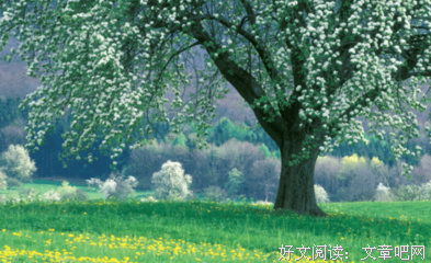 是是是经典的句子