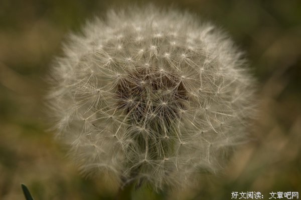你若懂我，该有多好！
