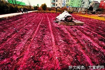 《红粉惊魂》好看吗？经典影评锦集
