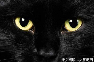 《恶毒梁欢秀》经典影评集