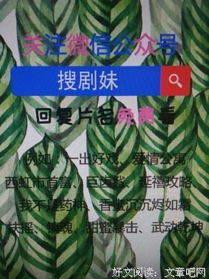 《格林 第六季》经典观后感1000字