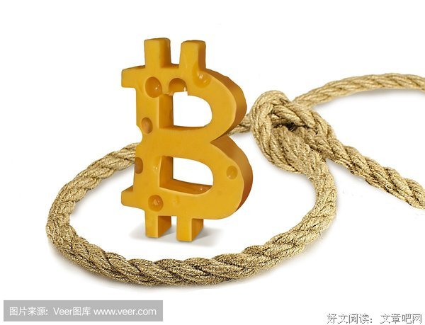《奶酪陷阱》观后感精选