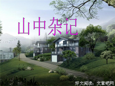 关于杂记的优美句子