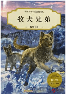 中文系读后感锦集