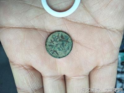 《日本明治维新：维新之岚》读后感锦集