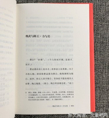《顾随诗词讲记》读后感精选