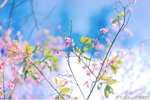 心有净气，灵魂自有香气
