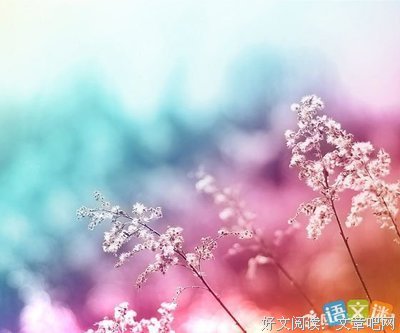 15条关于能屈能伸的经典语句